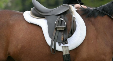 Sedla pro koně: přehled druhů a samovýroba